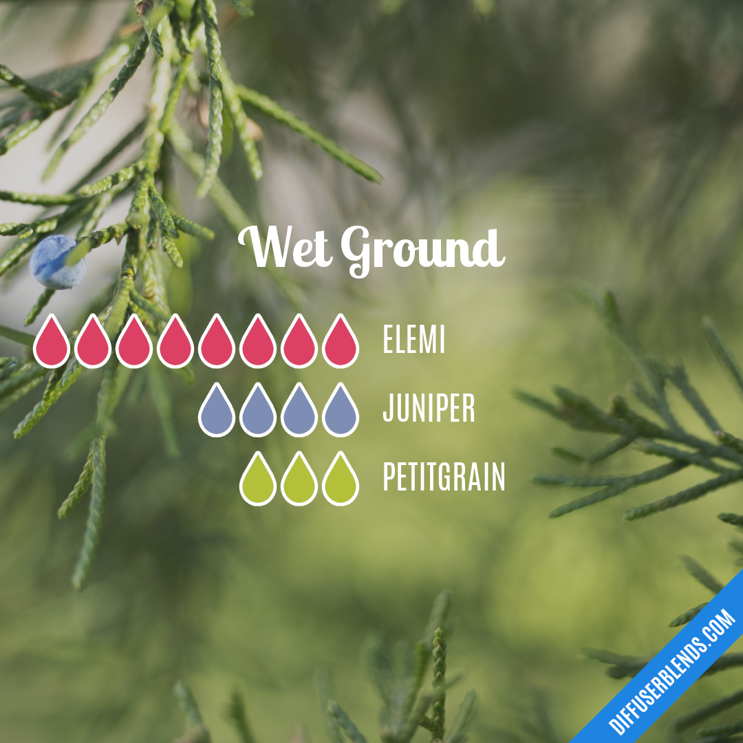 Wet Ground — Essential Oil Diffuser Blend