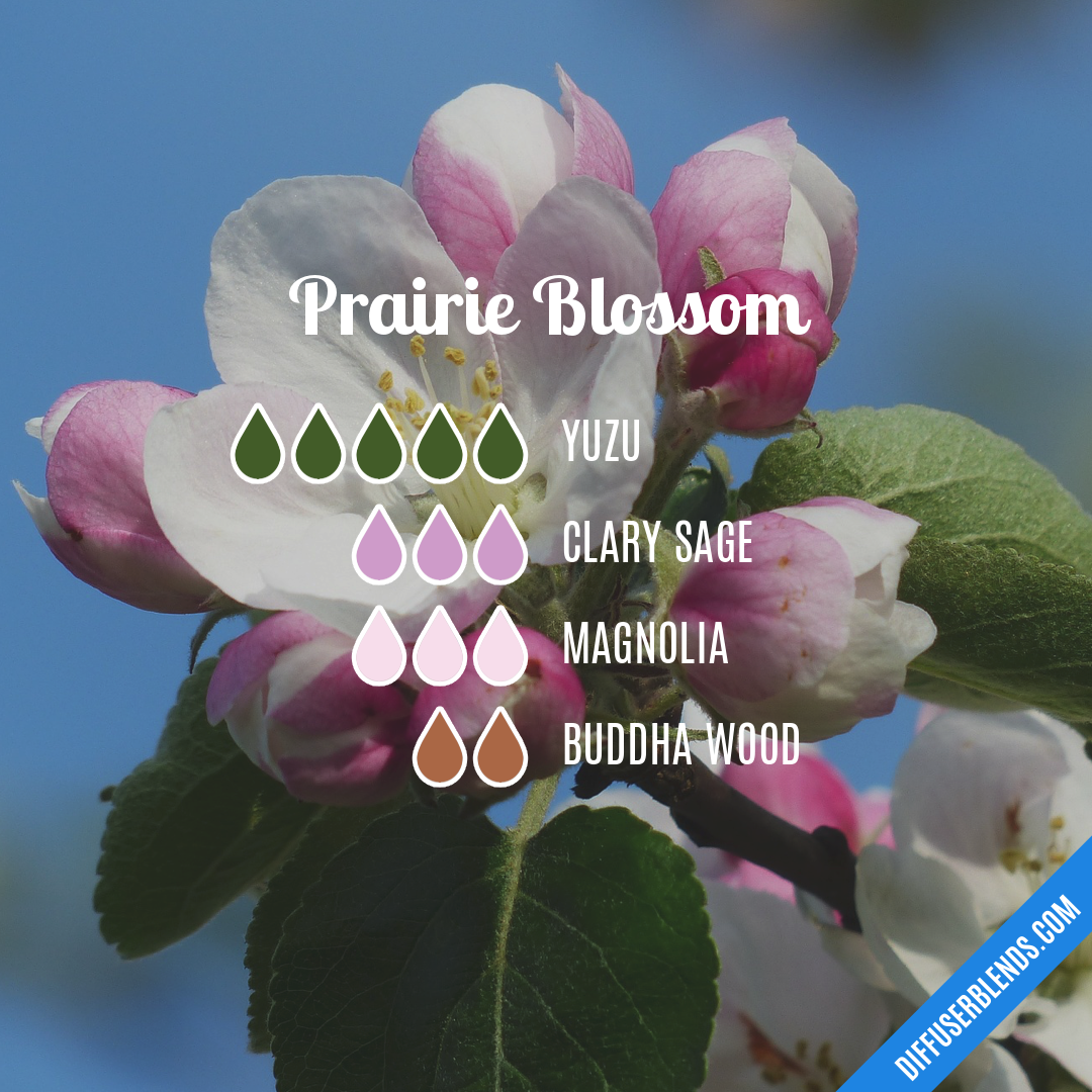 Cherry Blossom Essential Oil, Recipe