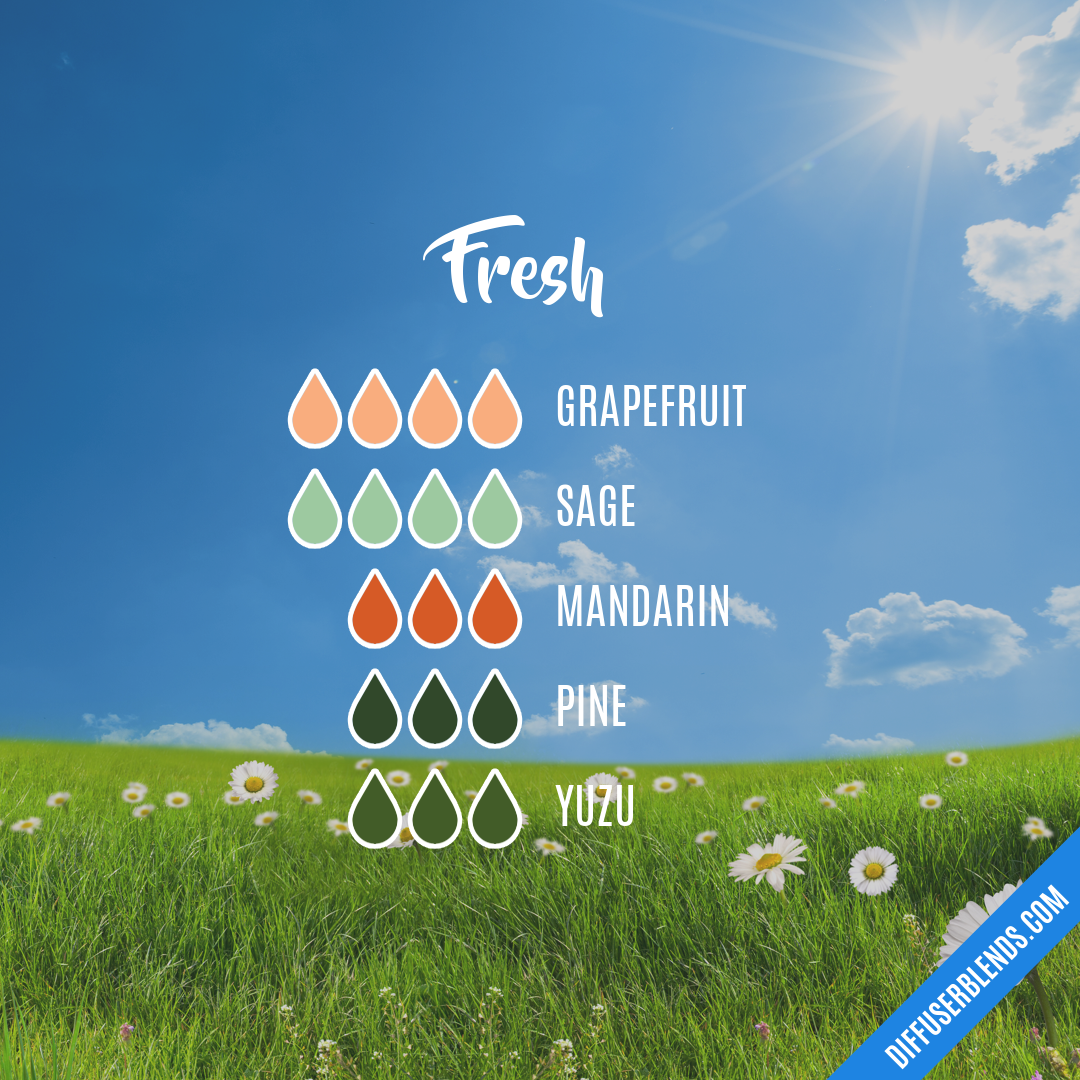 Fresh — Essential Oil Diffuser Blend