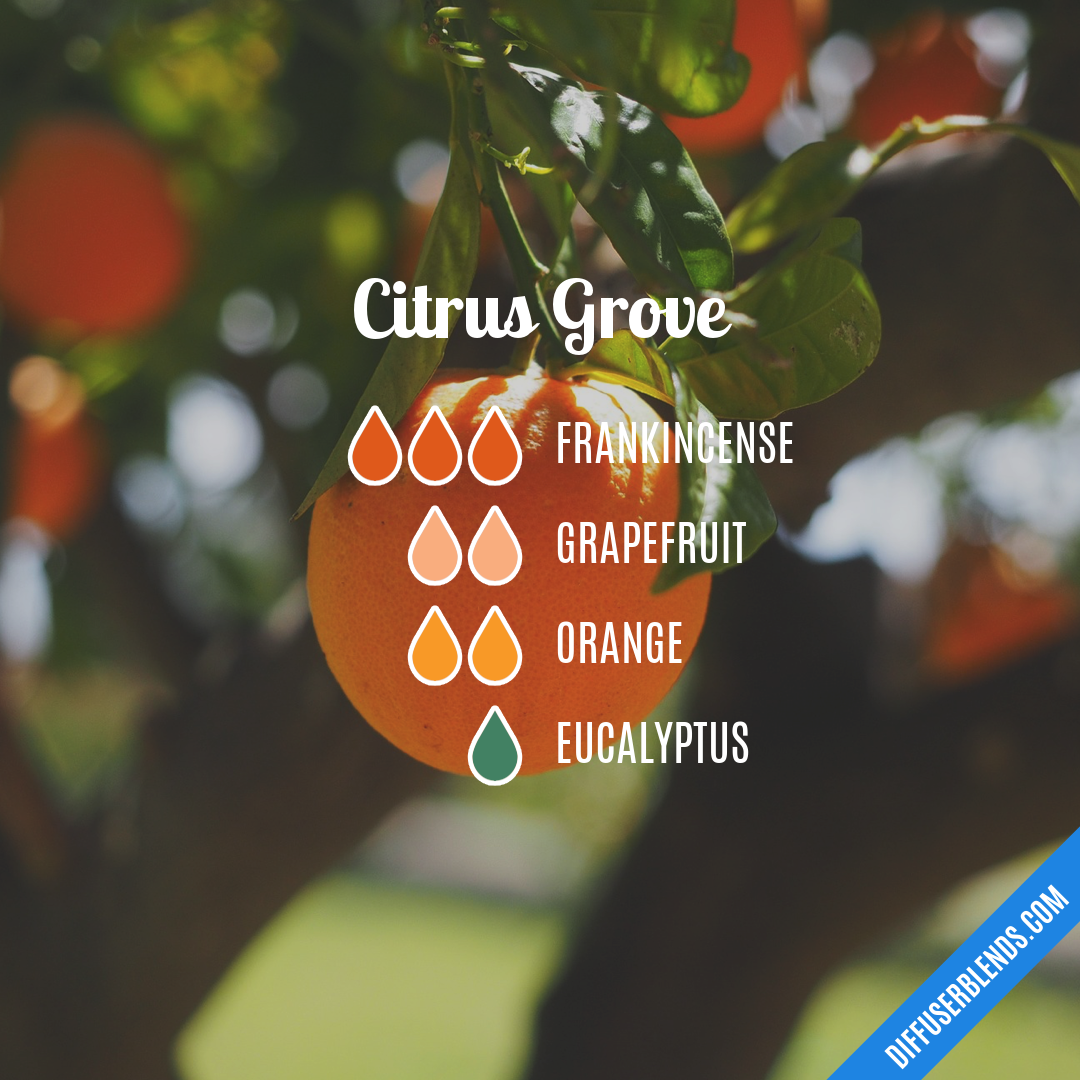 Citrus Grove — Essential Oil Diffuser Blend