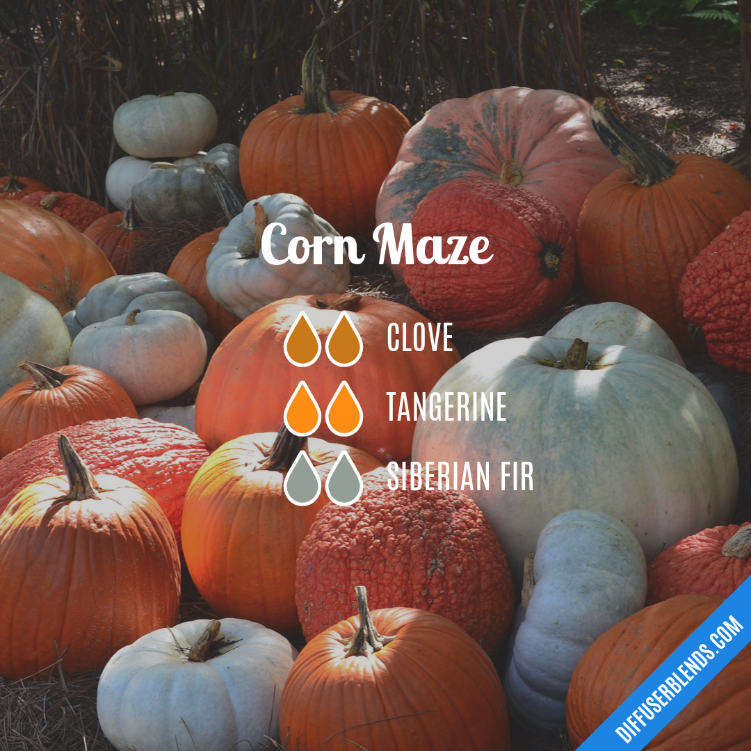 Corn Maze — Essential Oil Diffuser Blend