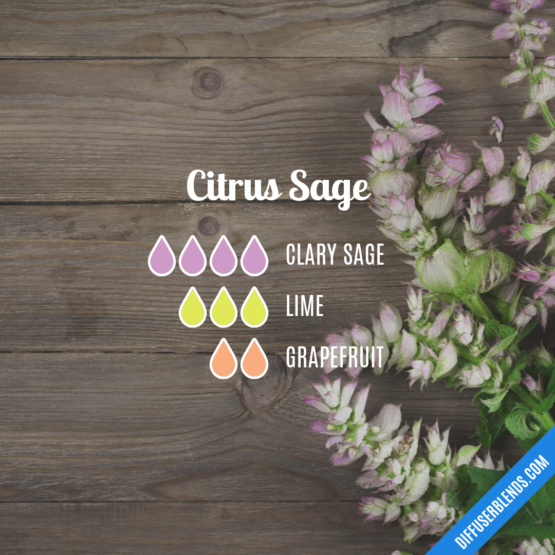 Citrus Sage — Essential Oil Diffuser Blend