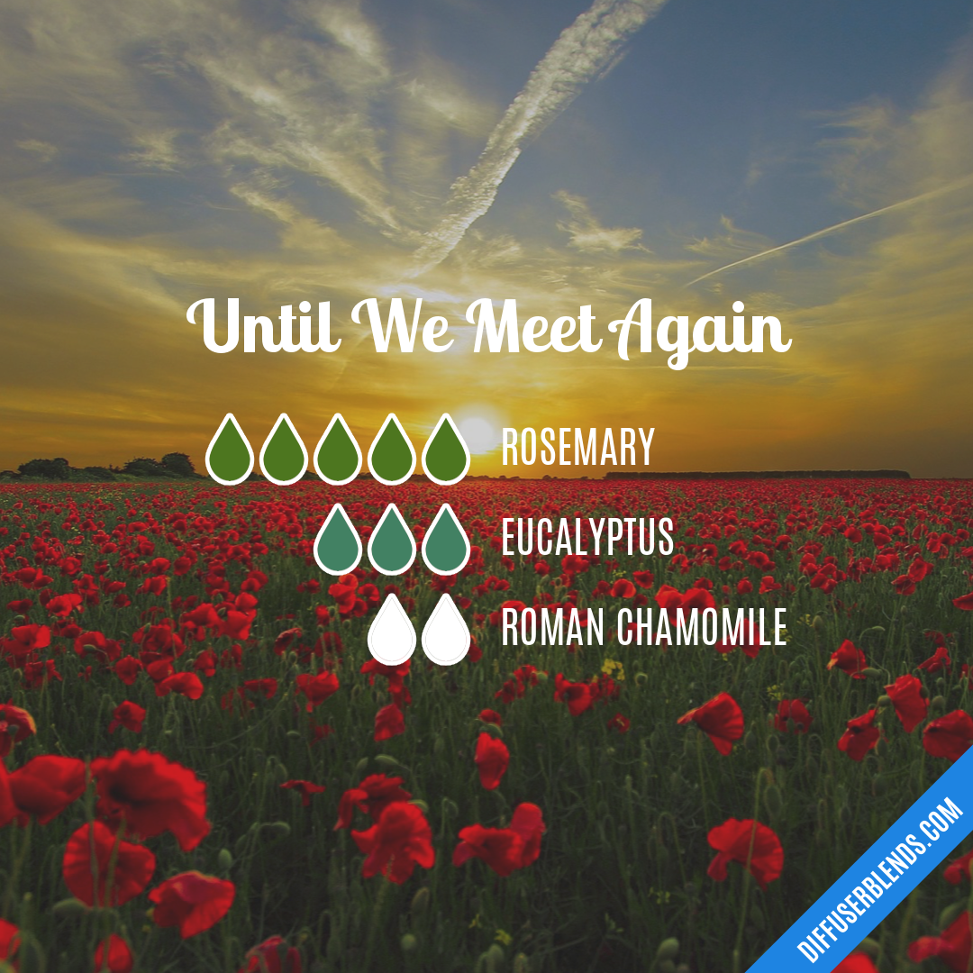 Until We Meet Again — Essential Oil Diffuser Blend