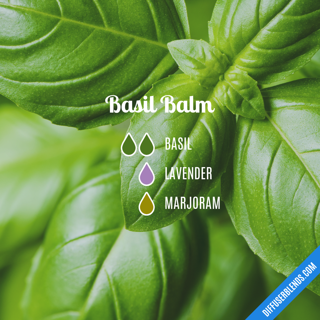 Basil Balm — Essential Oil Diffuser Blend