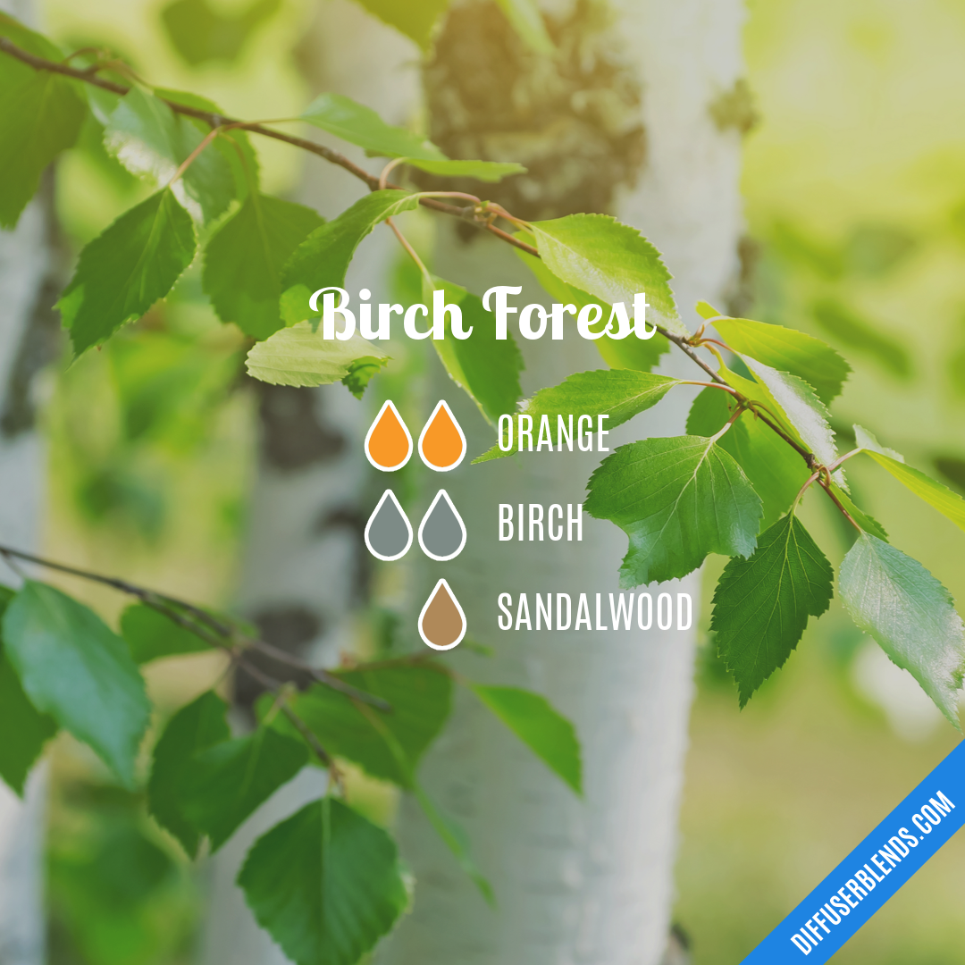 Birch Forest — Essential Oil Diffuser Blend