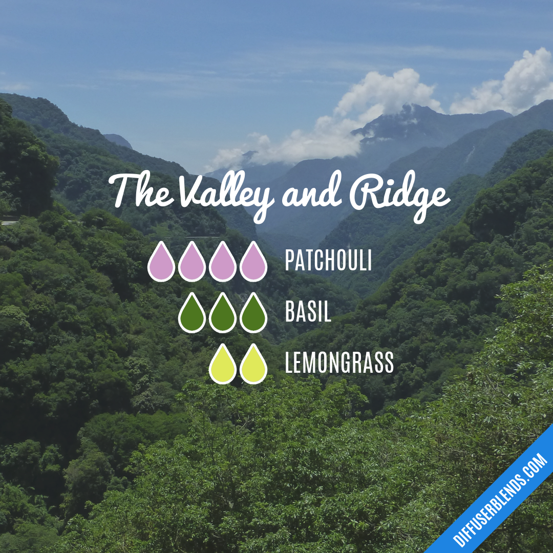 The Valley and Ridge — Essential Oil Diffuser Blend