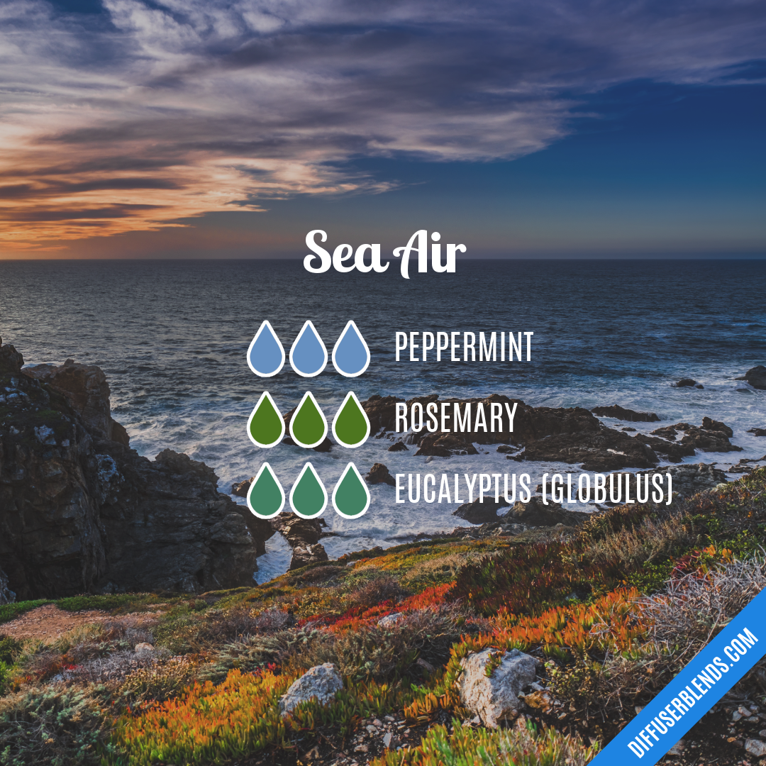 Sea Air — Essential Oil Diffuser Blend