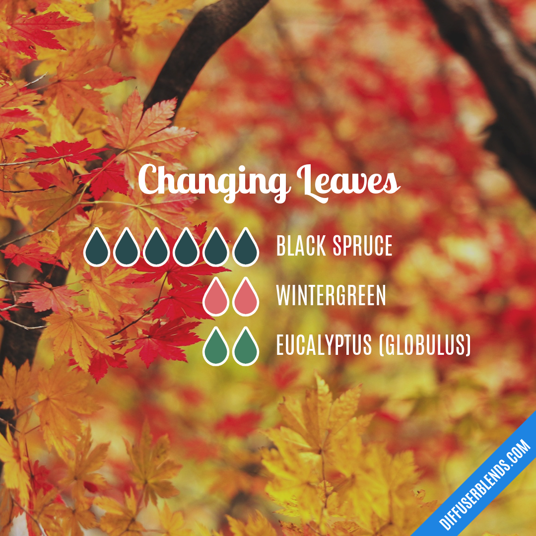 Changing Leaves