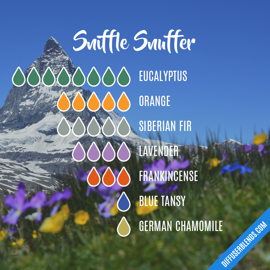 Sniffle Snuffer — Essential Oil Diffuser Blend