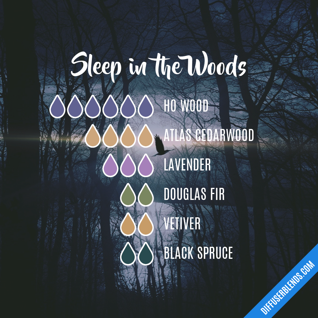 Sleep in the Woods — Essential Oil Diffuser Blend