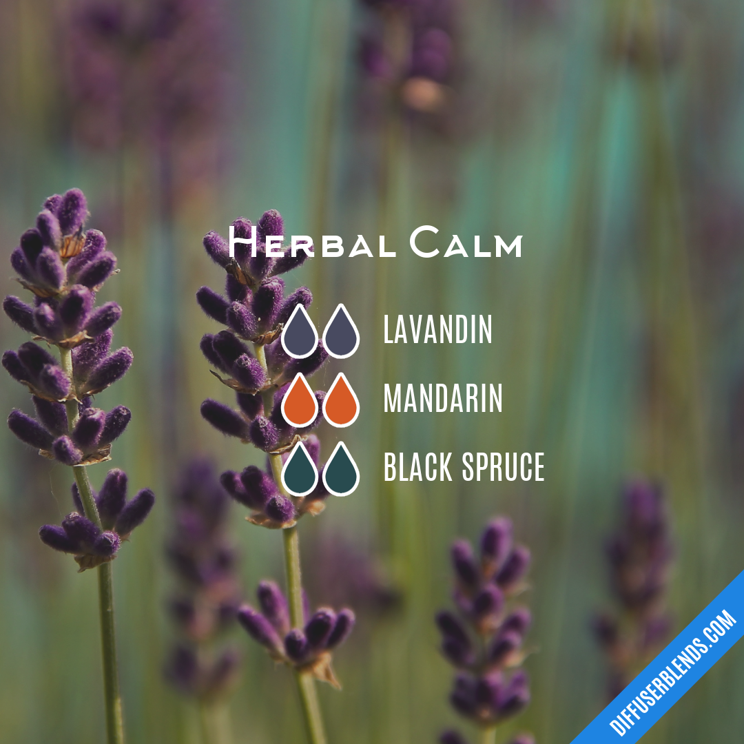 Herbal Calm — Essential Oil Diffuser Blend