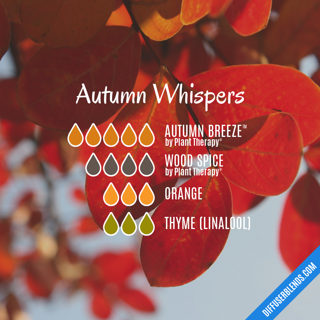 Autumn Whispers — Essential Oil Diffuser Blend