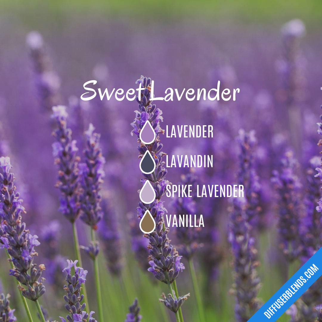 Sweet Lavender — Essential Oil Diffuser Blend