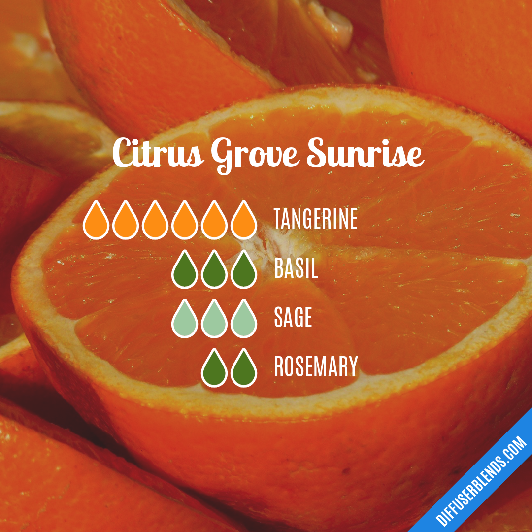 Citrus Grove Sunrise | DiffuserBlends.com