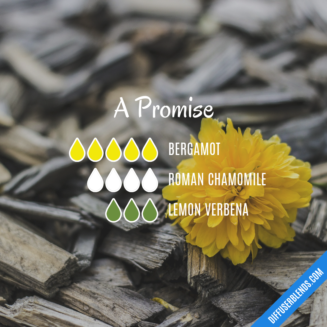 A Promise — Essential Oil Diffuser Blend