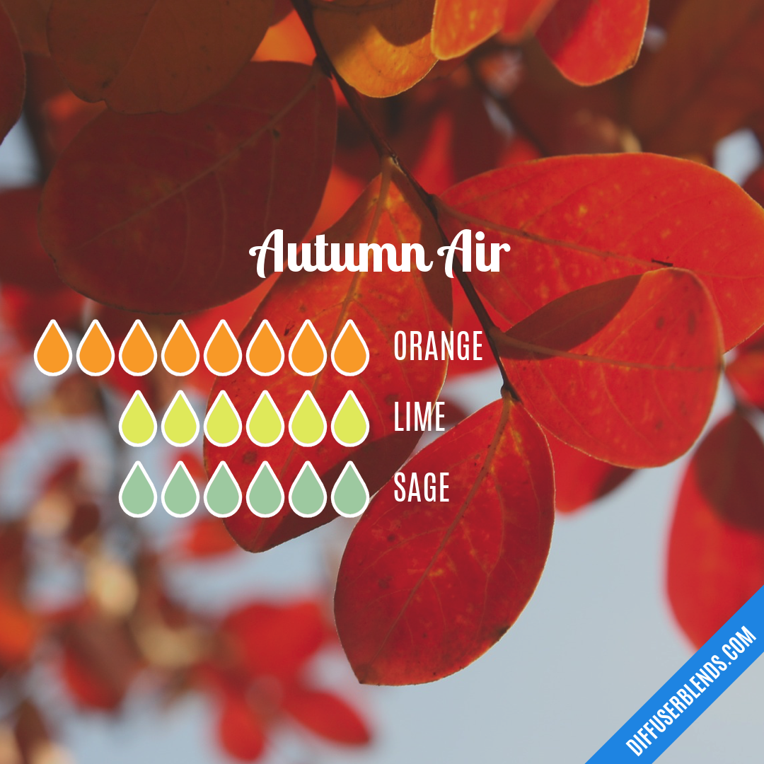 Autumn Air — Essential Oil Diffuser Blend