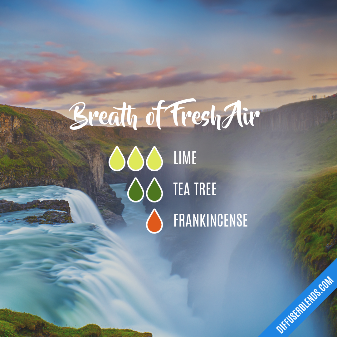 Breath of Fresh Air — Essential Oil Diffuser Blend