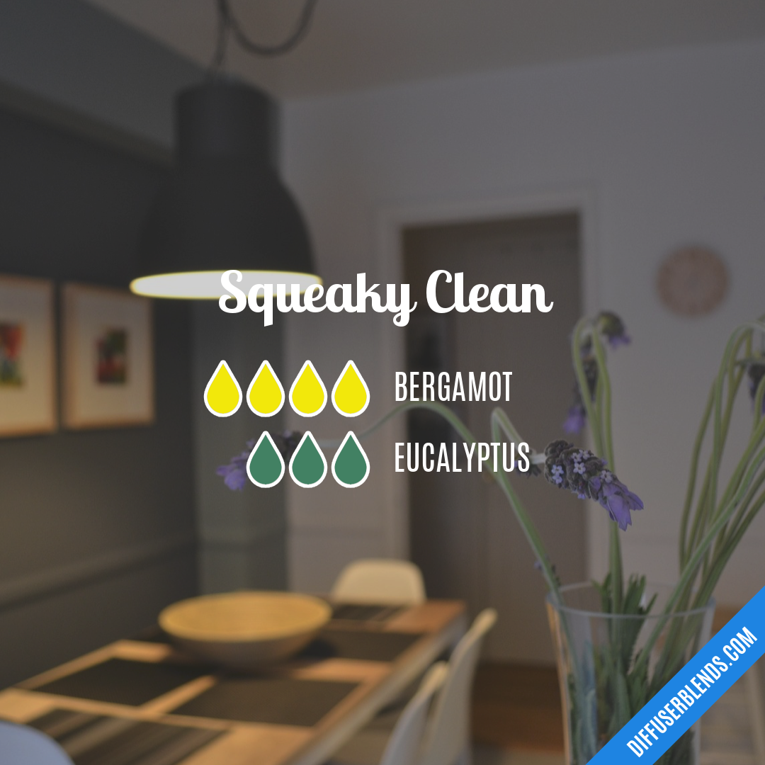 Squeaky Clean — Essential Oil Diffuser Blend