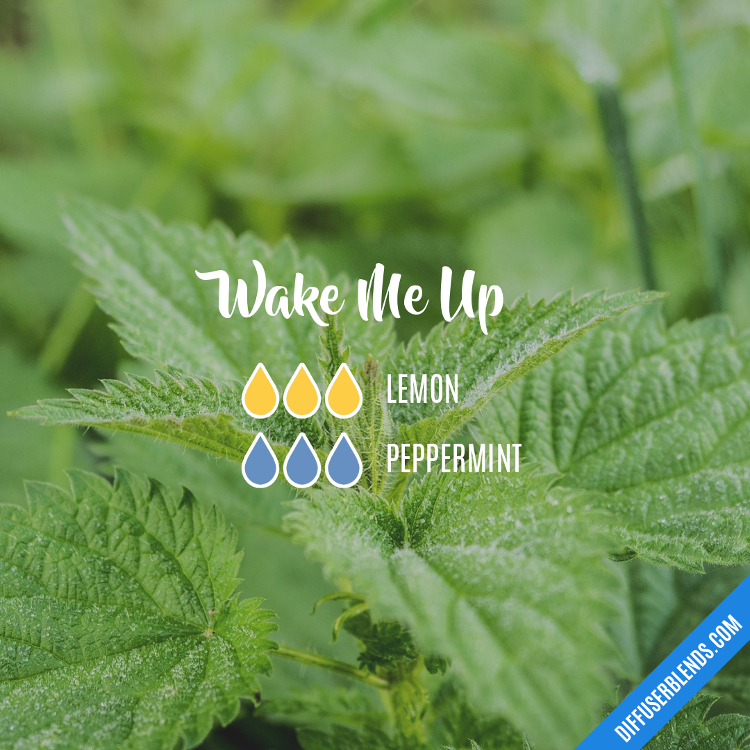 Wake Me Up — Essential Oil Diffuser Blend