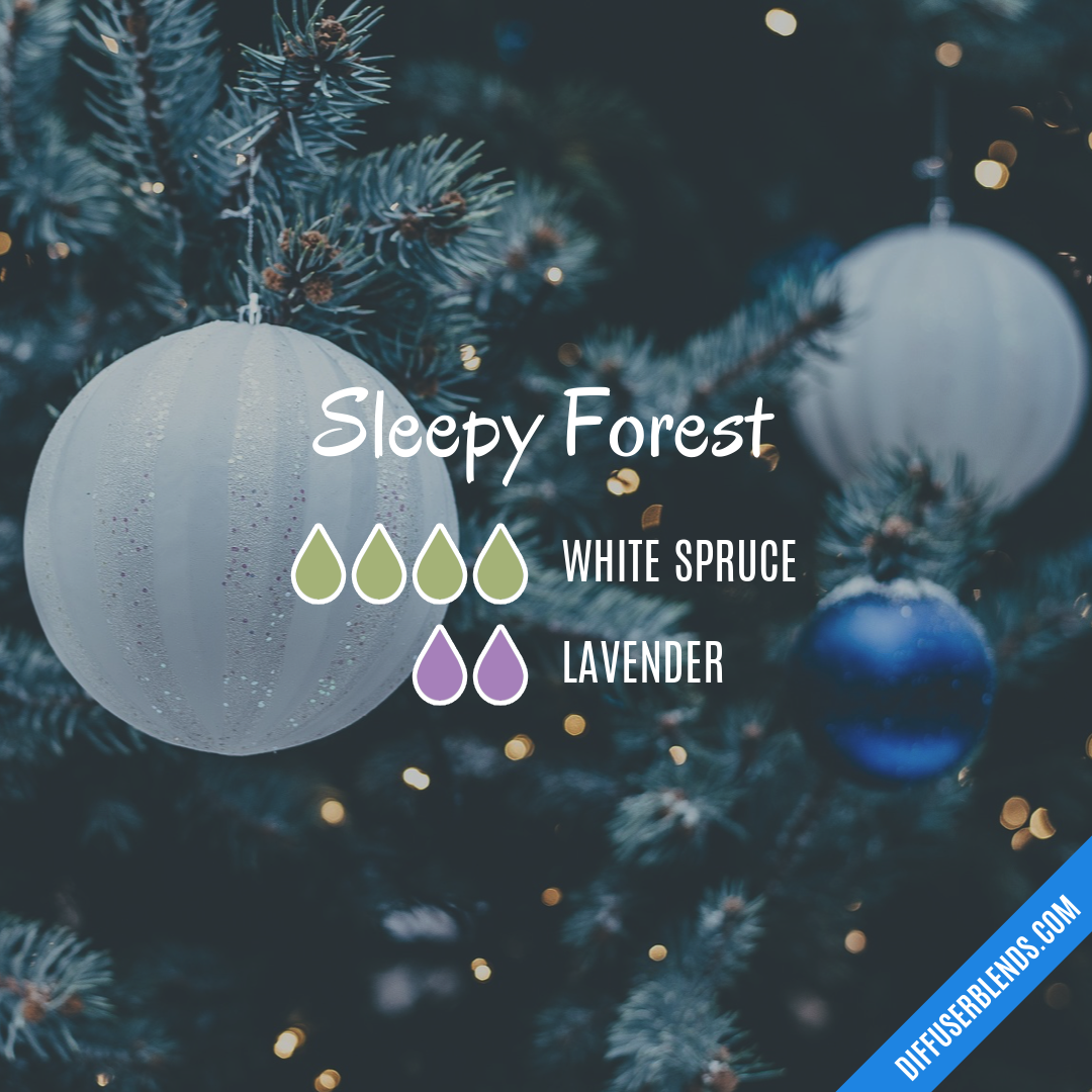 Sleepy Forest — Essential Oil Diffuser Blend