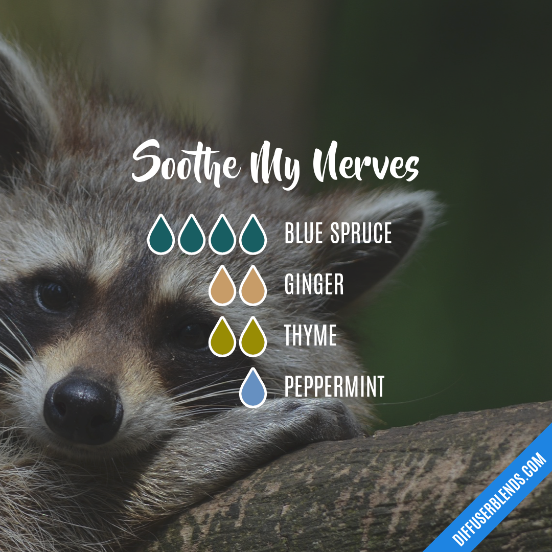 Soothe My Nerves — Essential Oil Diffuser Blend