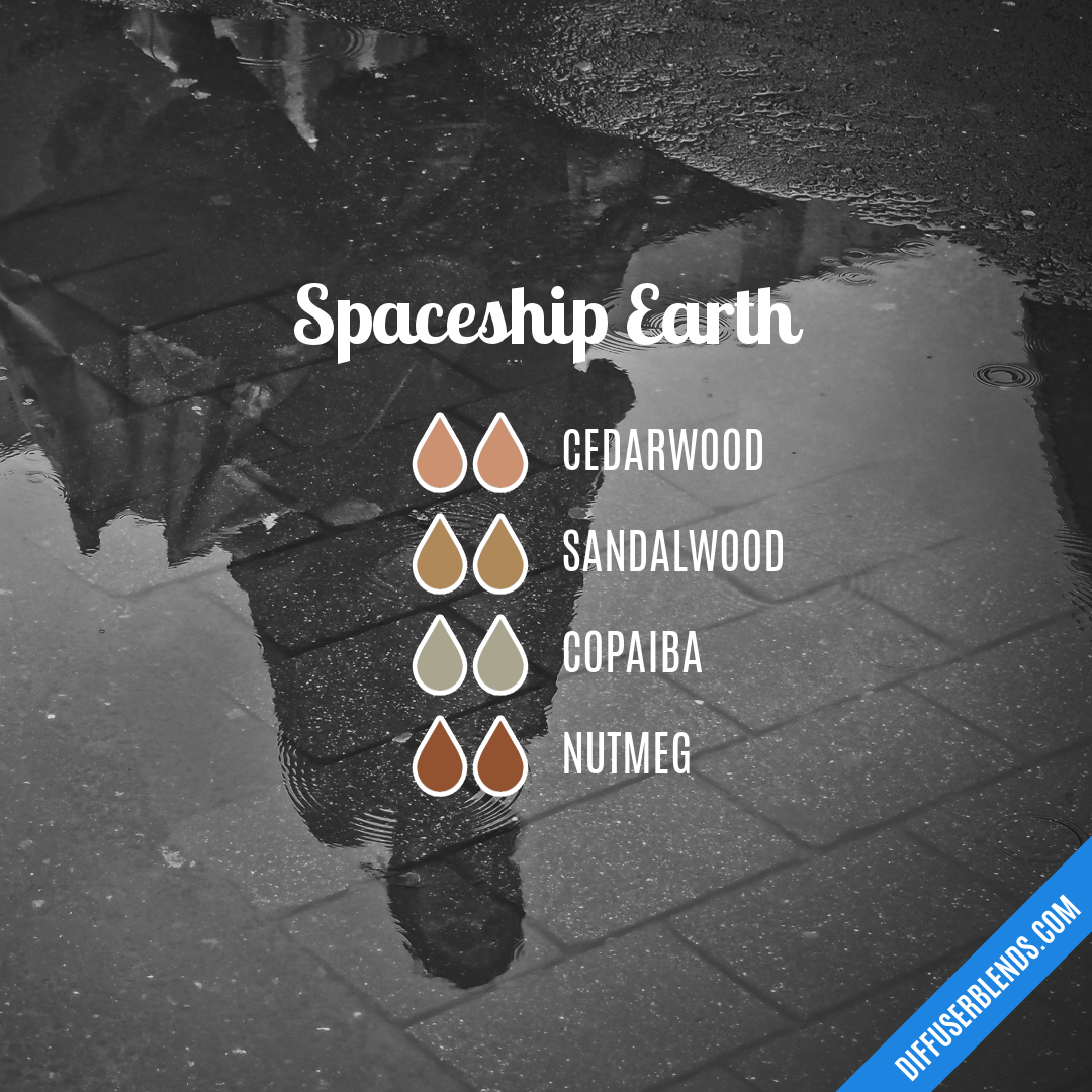 Spaceship Earth — Essential Oil Diffuser Blend