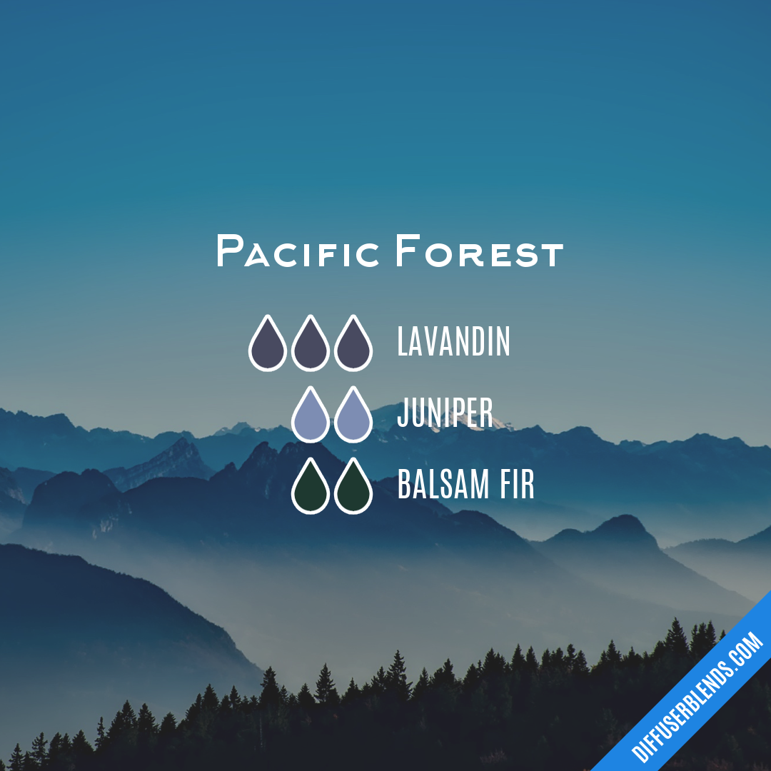 Pacific Forest | DiffuserBlends.com