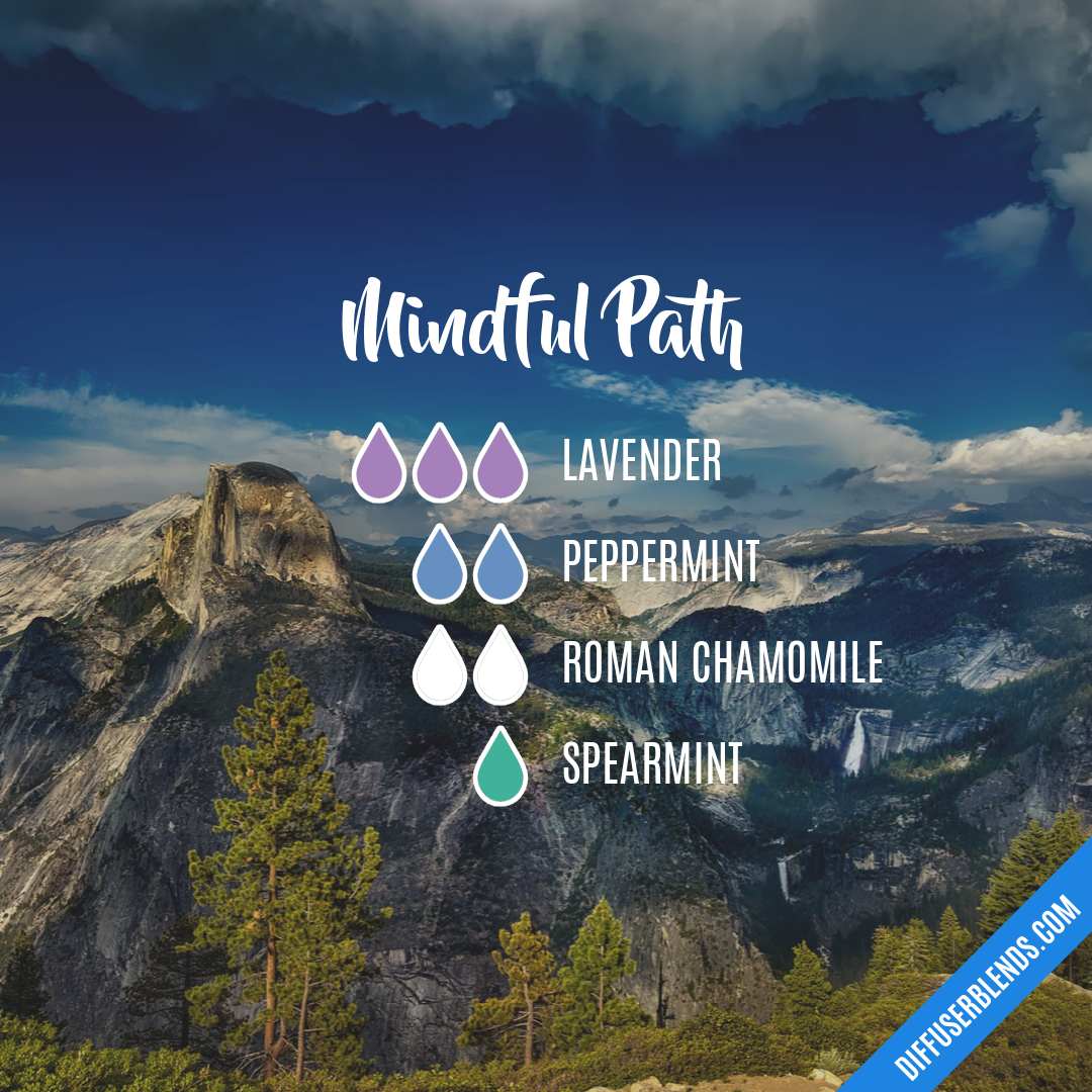 Mindful Path — Essential Oil Diffuser Blend