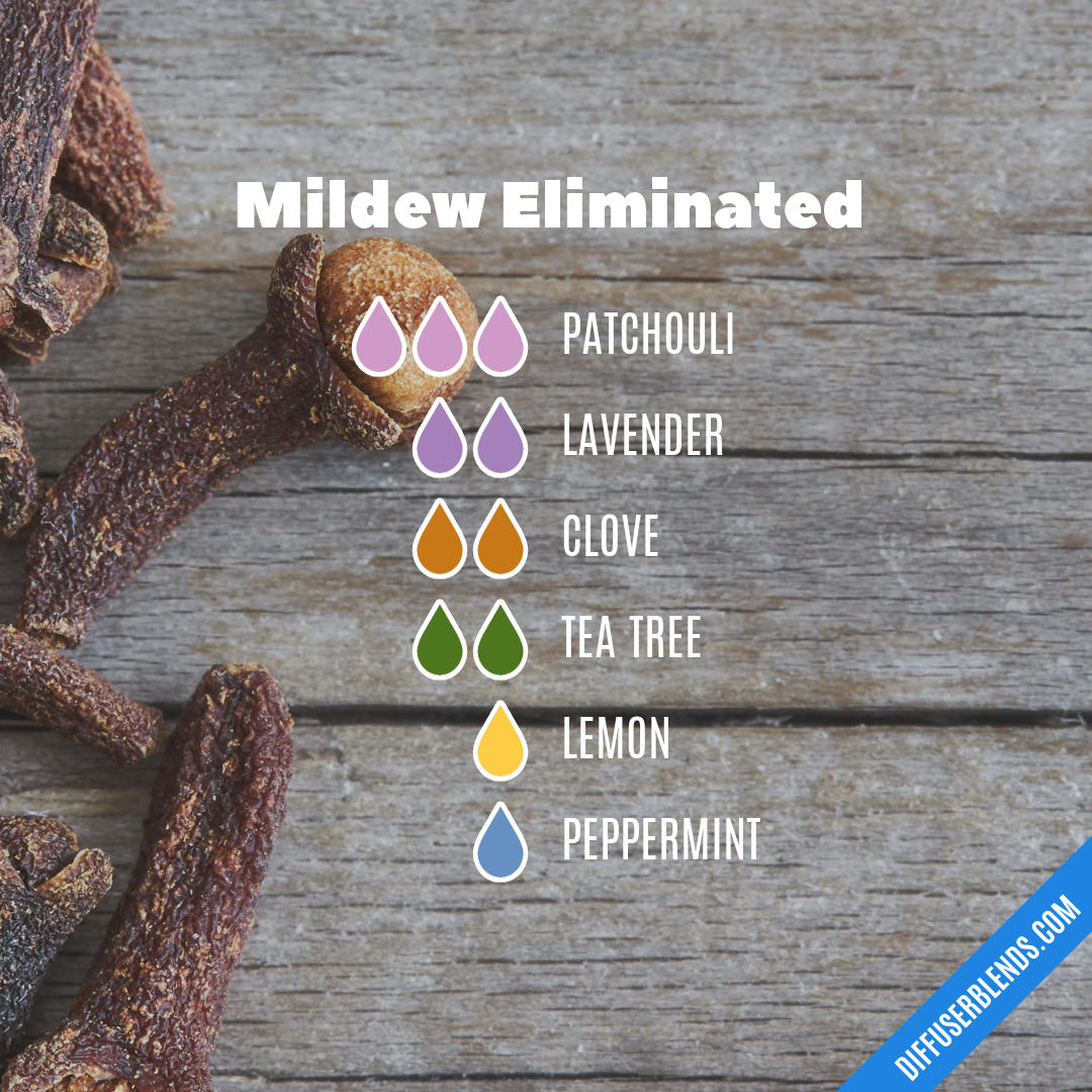 Mildew Eliminated — Essential Oil Diffuser Blend