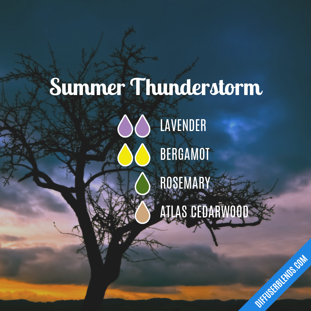 Summer Thunderstorm — Essential Oil Diffuser Blend