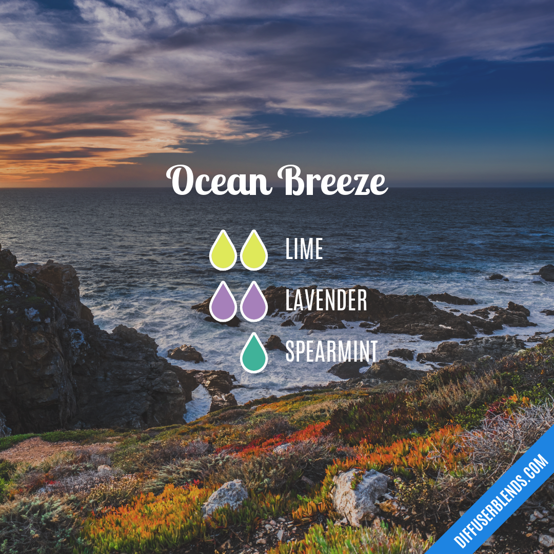 Ocean Breeze — Essential Oil Diffuser Blend