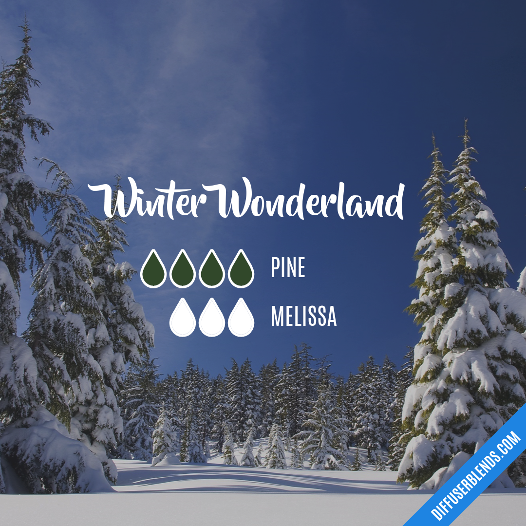 Winter Wonderland — Essential Oil Diffuser Blend