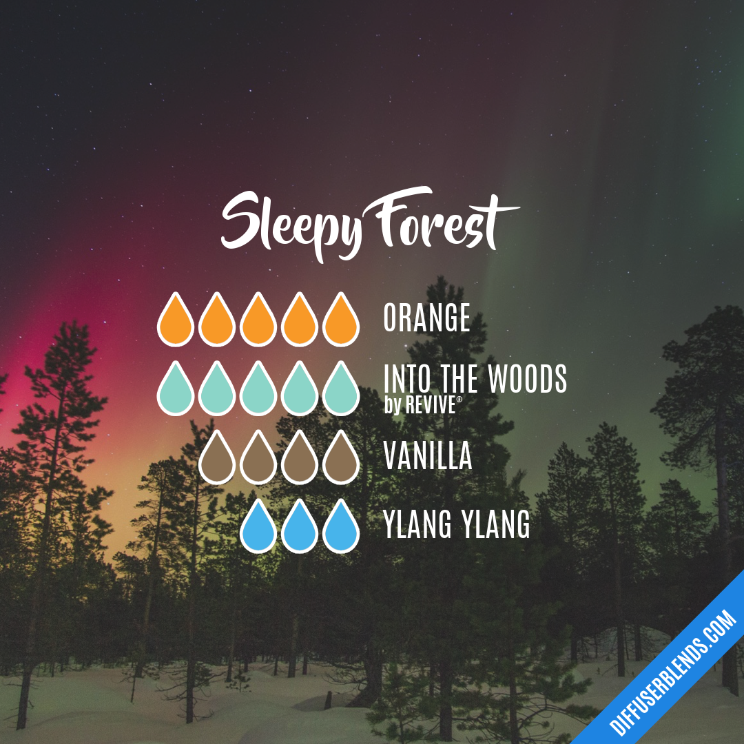 Sleepy Forest — Essential Oil Diffuser Blend