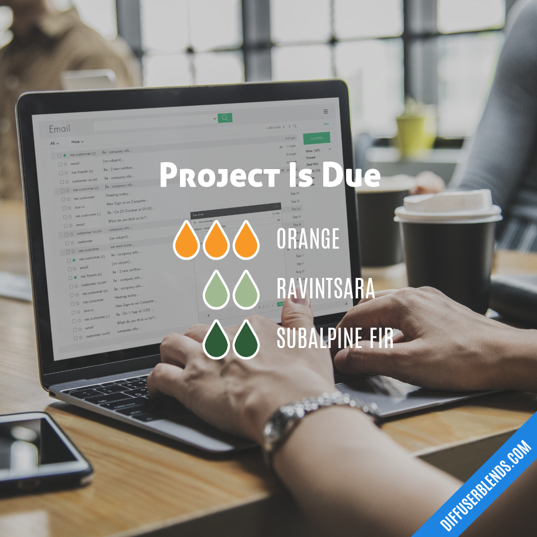 Project Is Due — Essential Oil Diffuser Blend