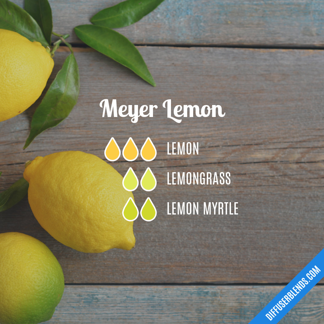 Meyer Lemon 