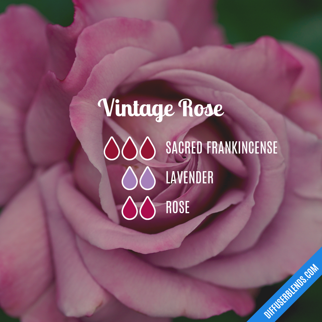 Vintage Rose — Essential Oil Diffuser Blend