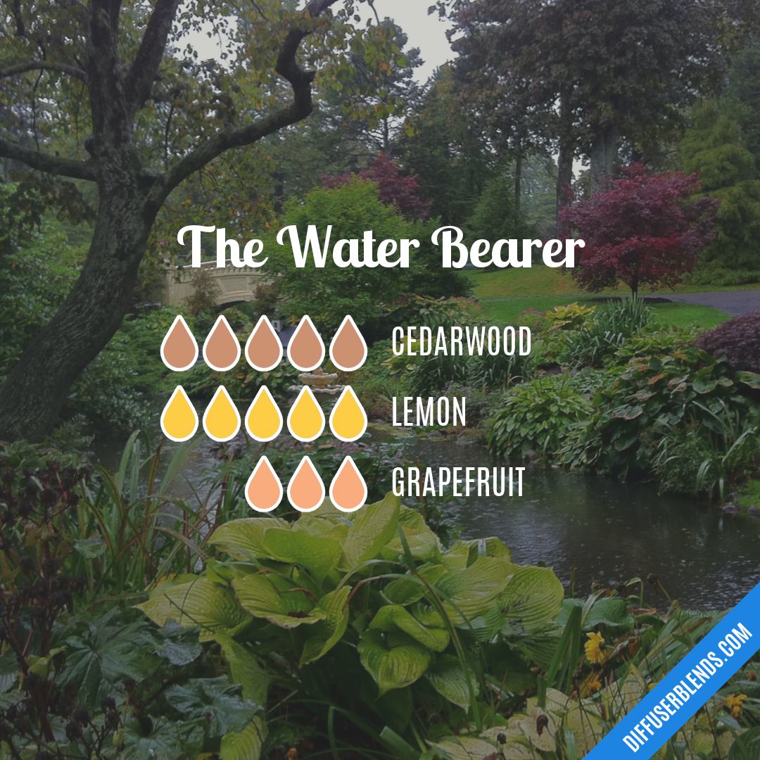 The Water Bearer — Essential Oil Diffuser Blend