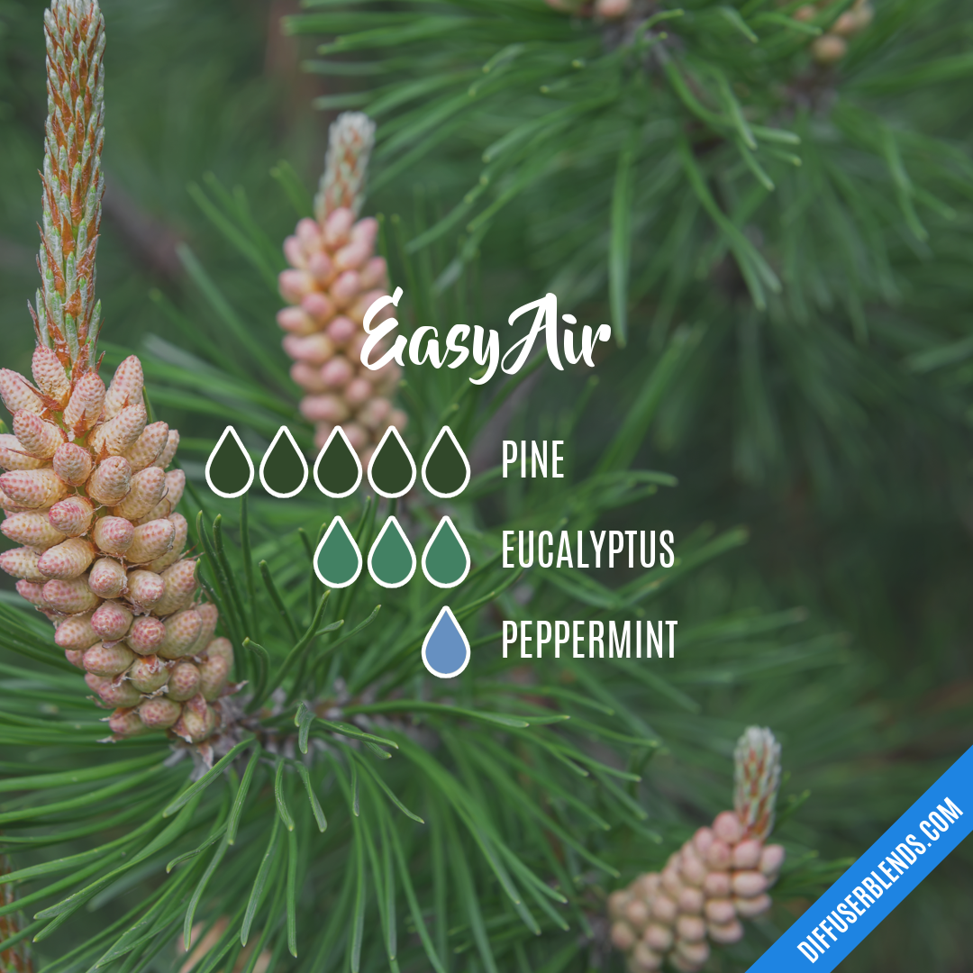 Easy Air — Essential Oil Diffuser Blend