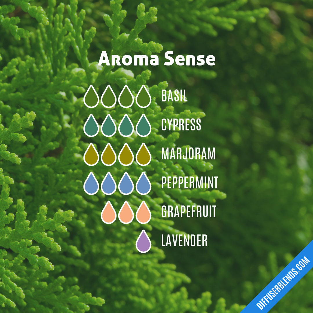 Aroma Sense | DiffuserBlends.com