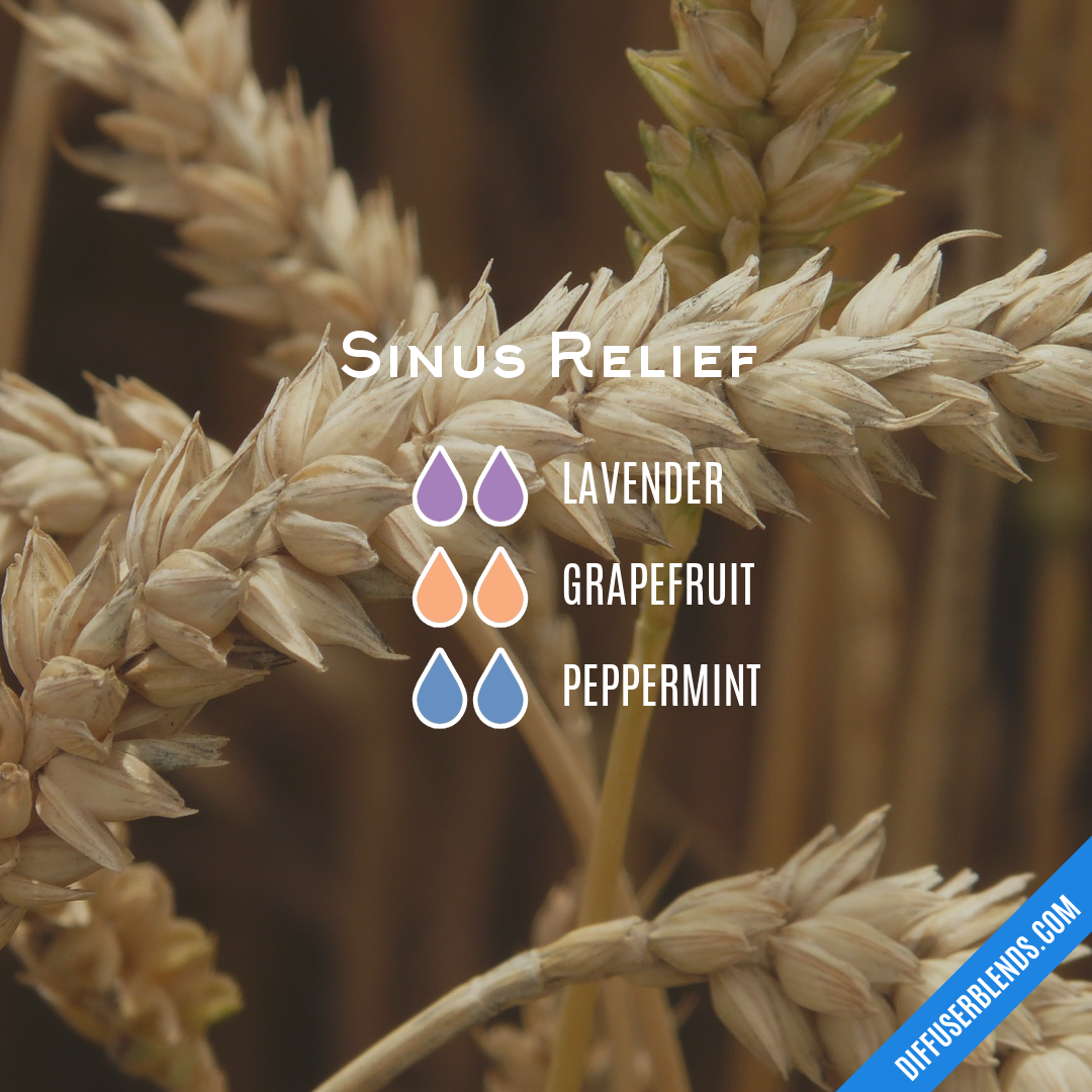 Sinus Relief — Essential Oil Diffuser Blend