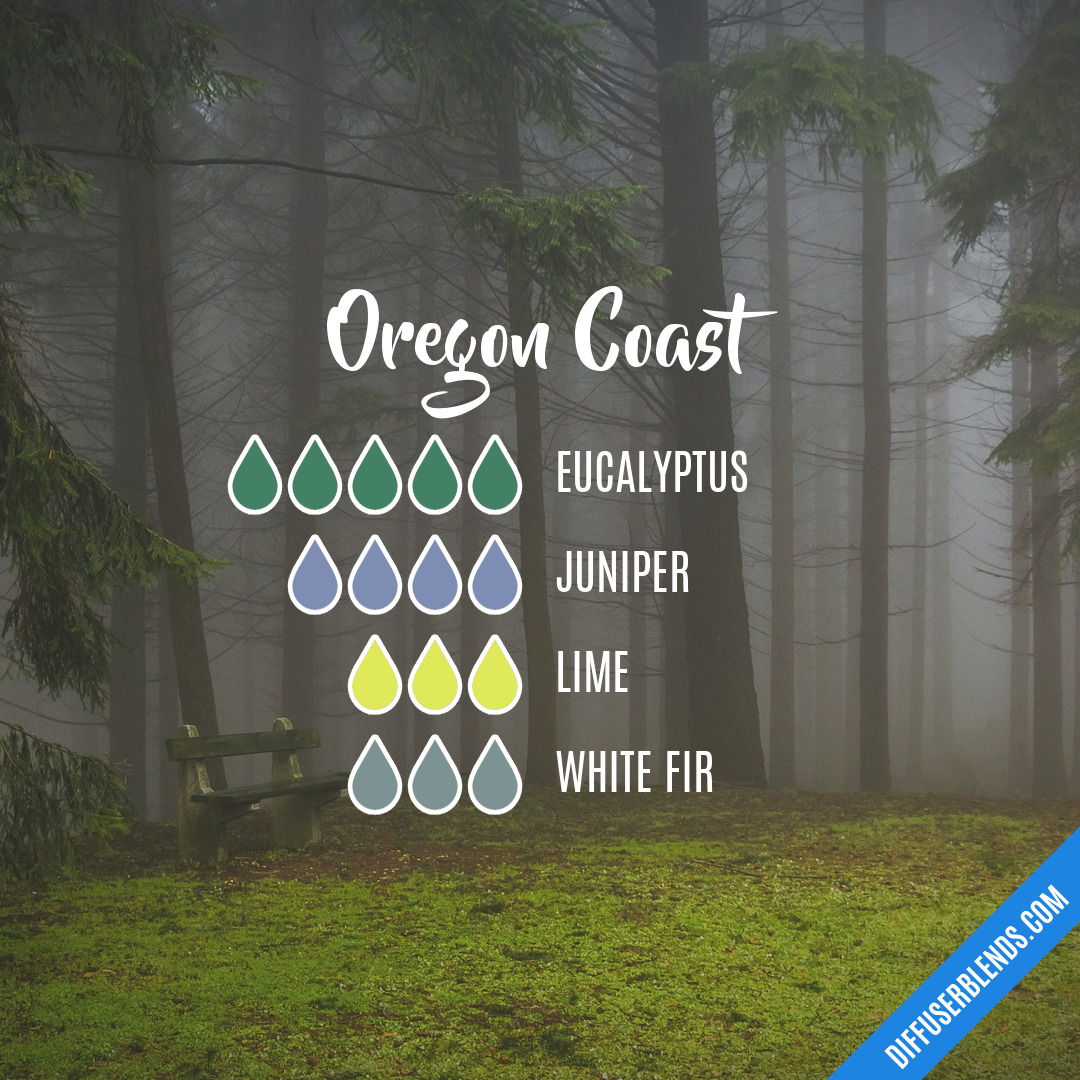 Oregon Coast — Essential Oil Diffuser Blend