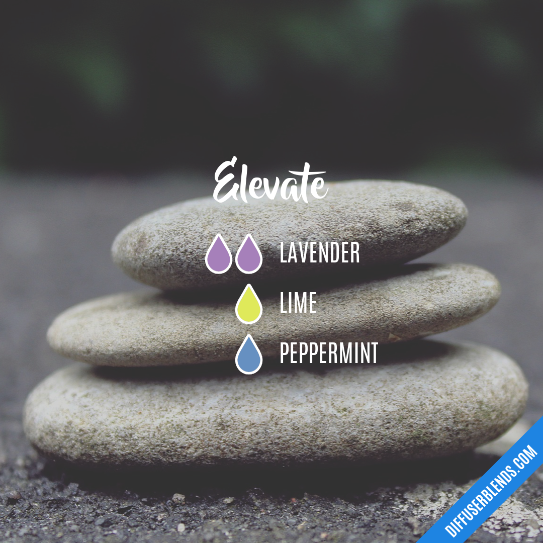 Elevate — Essential Oil Diffuser Blend