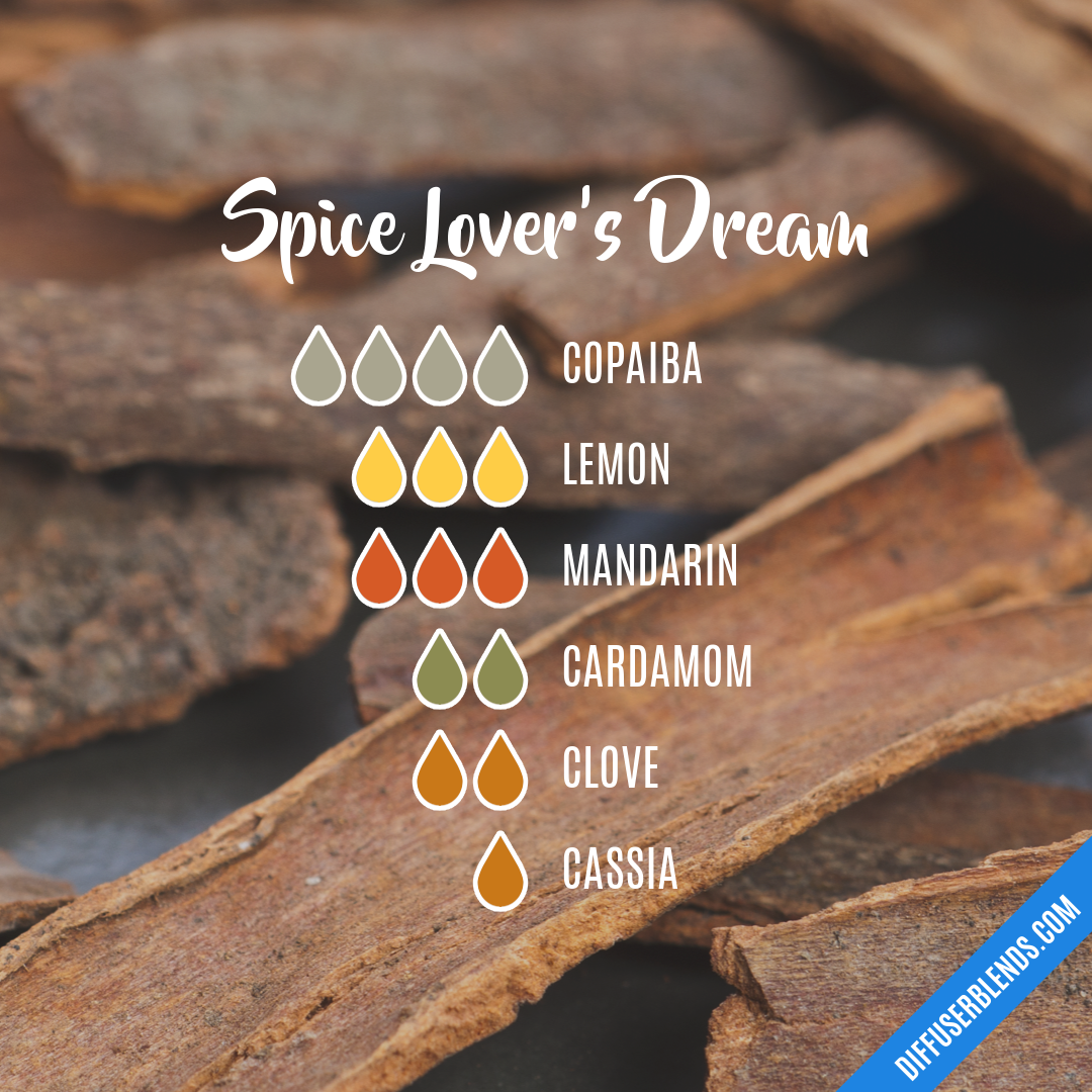 Spice Lover's Dream — Essential Oil Diffuser Blend