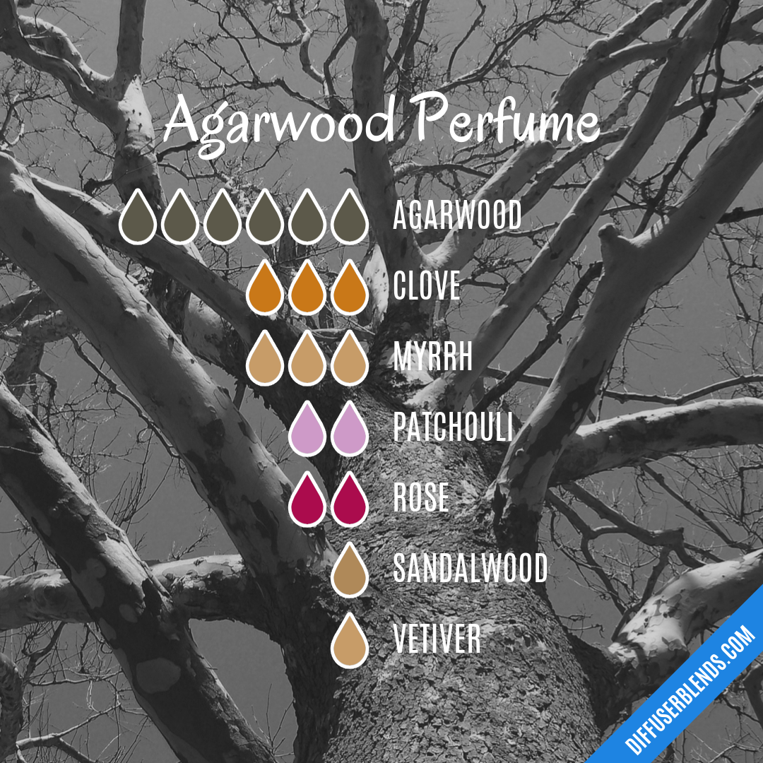 Agarwood Perfume — Essential Oil Diffuser Blend