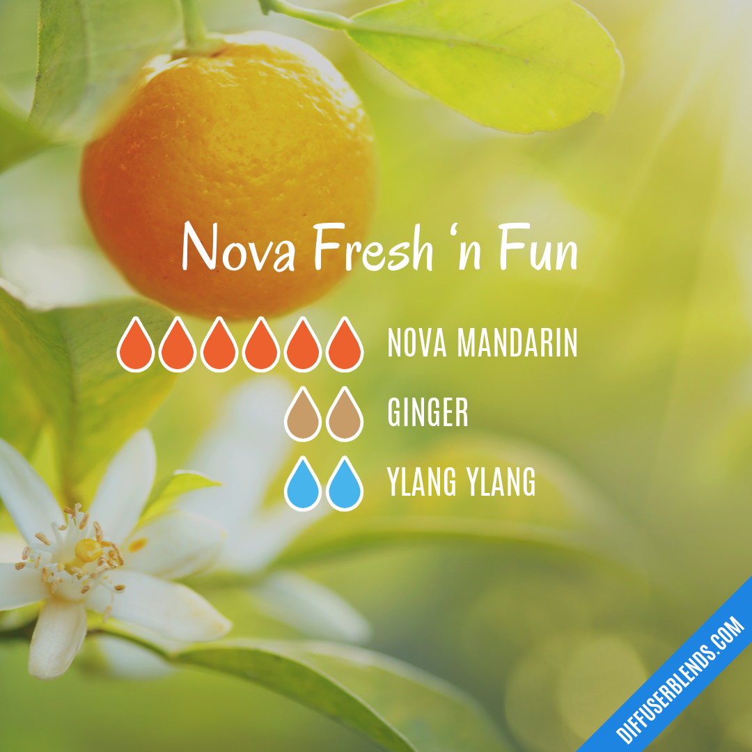 Nova Fresh ‘n Fun — Essential Oil Diffuser Blend