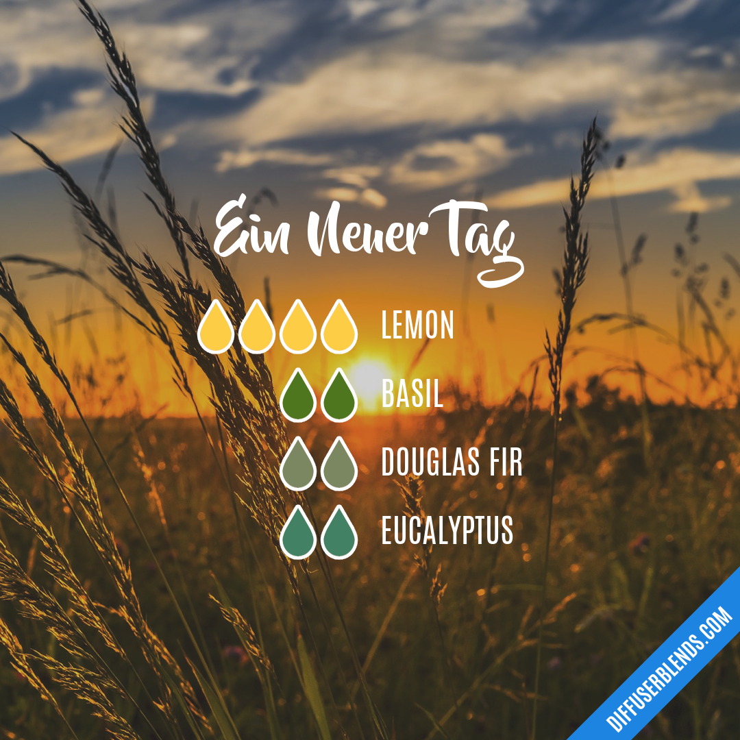 Ein Neuer Tag — Essential Oil Diffuser Blend