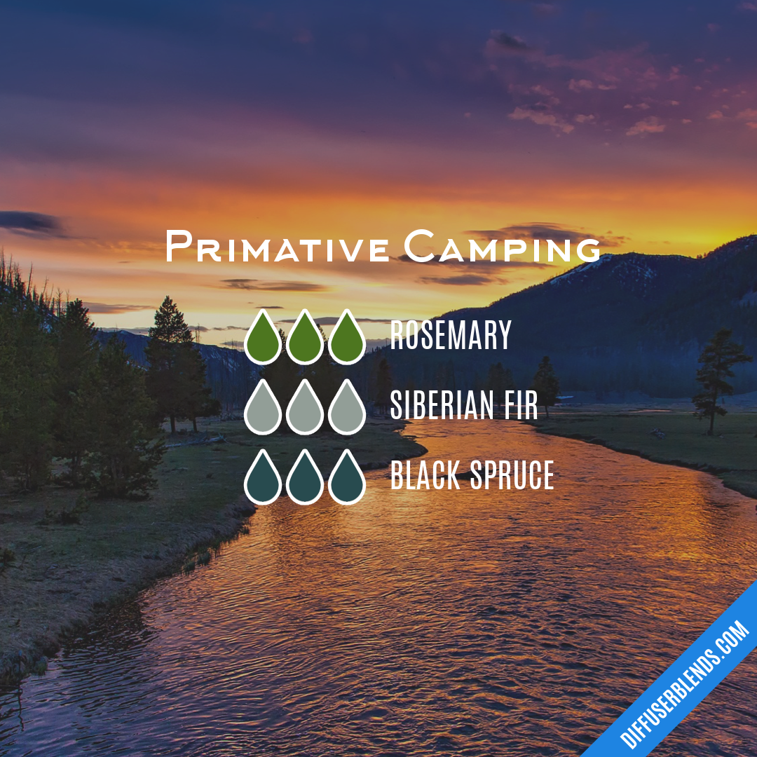 Primative Camping — Essential Oil Diffuser Blend