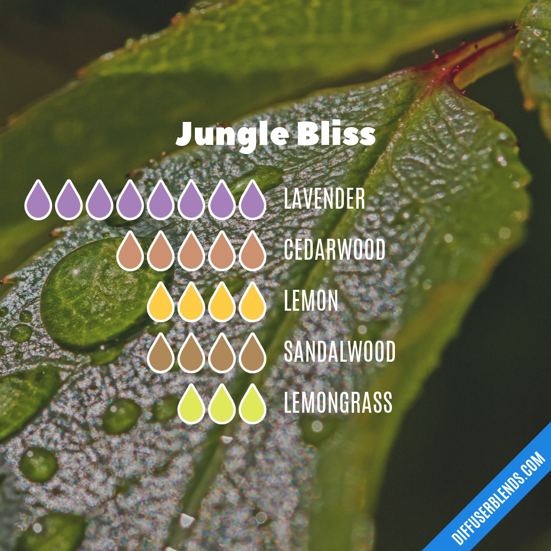 Jungle Bliss | DiffuserBlends.com