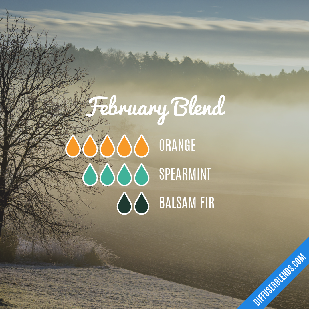 February Blend — Essential Oil Diffuser Blend