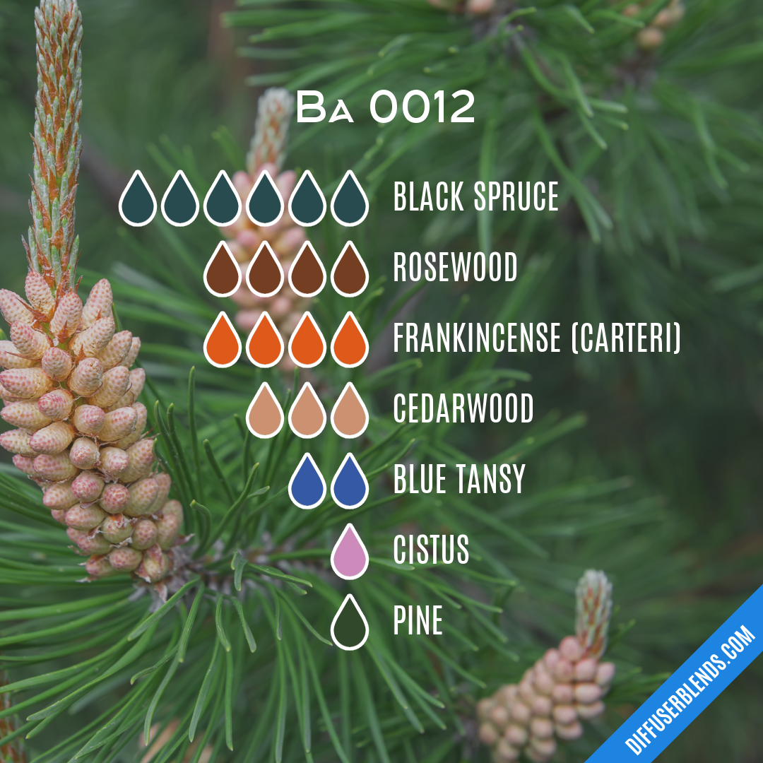 Ba 0012 — Essential Oil Diffuser Blend